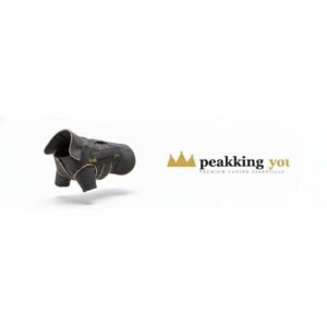Waterproof Insulated Winter Coat