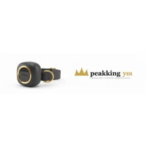 Smart GPS Dog Tracker