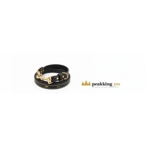 Premium Leather Collar & Leash Set